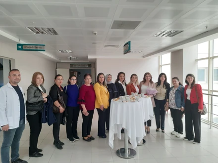 Hemşireliği Görünür Kılmak